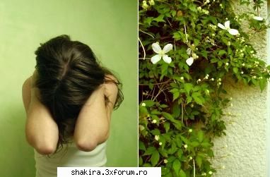 joc :-?cu poze:d
