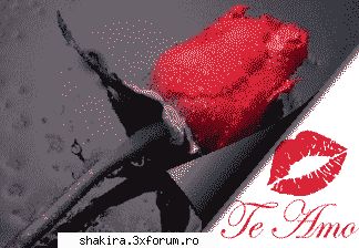 Alb sau Negru? - Shakira_Shakira - Jocuri pe Forum