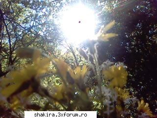 Poze cu voi - fan_shakira_4_ever - Introducere
