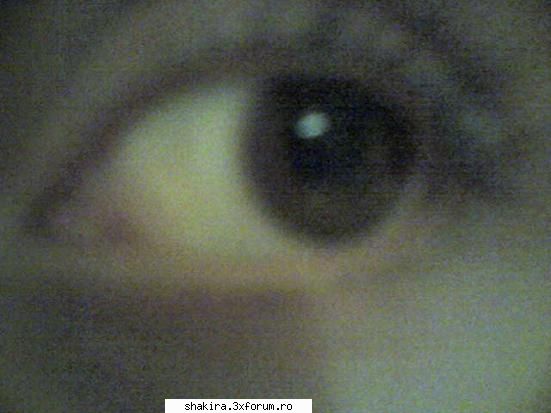 Poze cu voi - my.....eye??!!? - Introducere