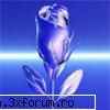joc :-?cu poze:D - shakira_andre - Jocuri pe Forum