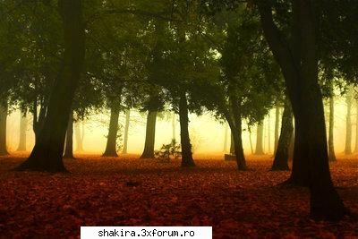 joc :-?cu poze:D - black_blood - Jocuri pe Forum